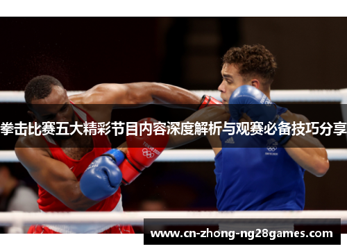 拳击比赛五大精彩节目内容深度解析与观赛必备技巧分享