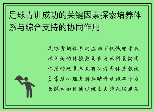 足球青训成功的关键因素探索培养体系与综合支持的协同作用